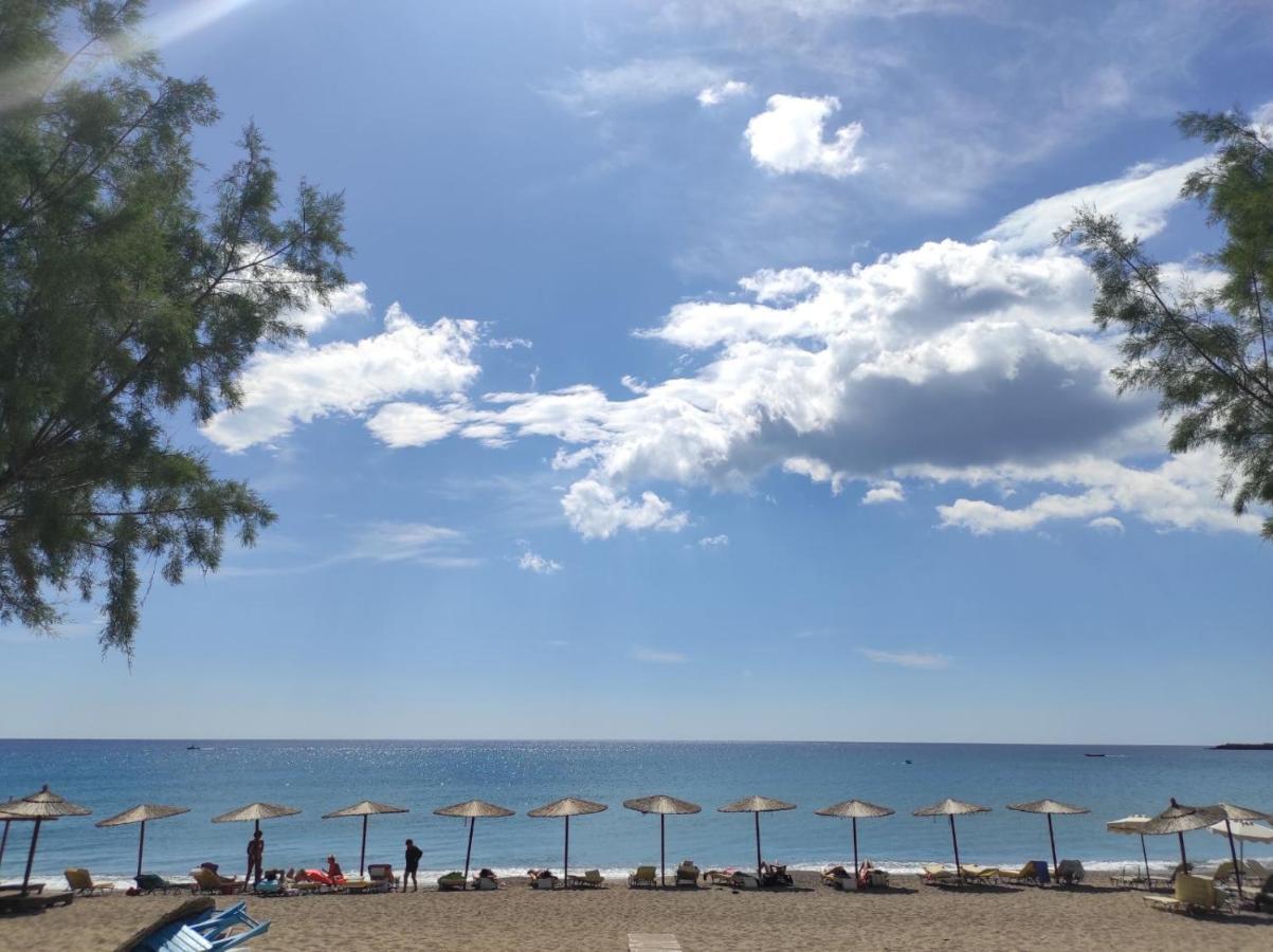 Stegna Premium Apartment Archangelos  Luaran gambar